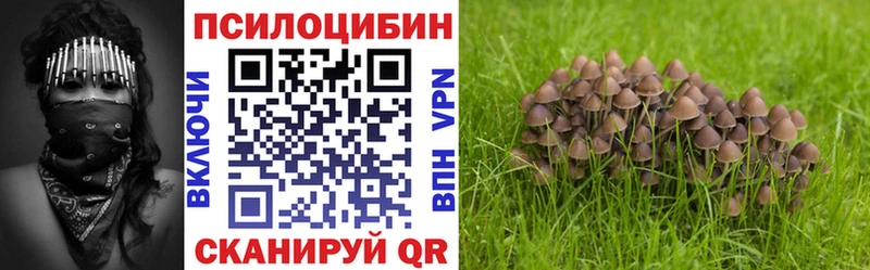 хочу   Камышлов  Псилоцибиновые грибы мицелий 
