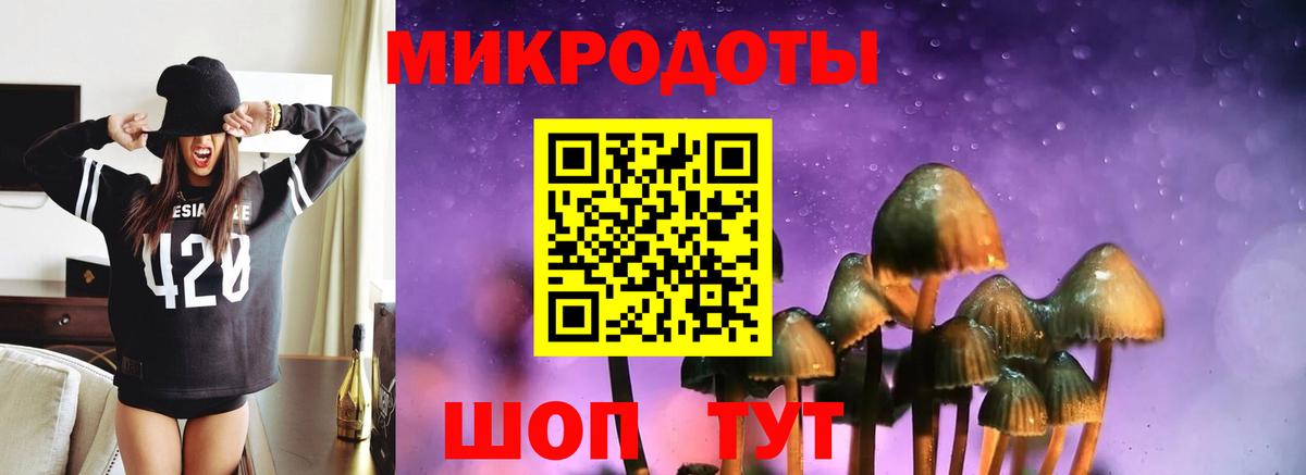 Камышлов  Псилоцибиновые грибы Cubensis  Вход с VPN  Псилоцибиновые грибы ЛСД 
