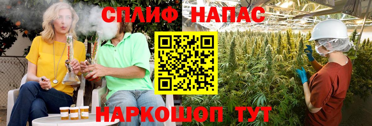 Марихуана VHQ  Вход с VPN  Камышлов  Шишки марихуана марихуана  Шишки марихуана конопля  Бошки марихуана LSD WEED 